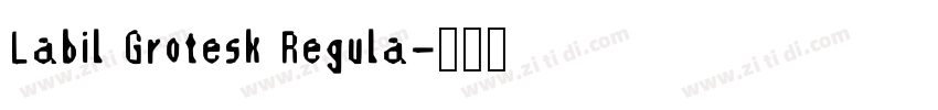 Labil Grotesk Regula字体转换